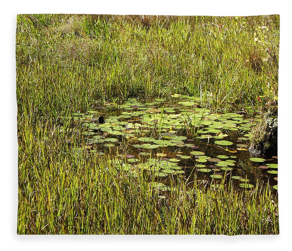 Lily Fleece Blanket featuring the photograph Lily Pads by Kim Galluzzo