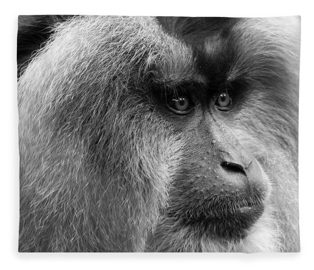 Animals Fleece Blanket featuring the photograph Lion-tailed Macaque by Keith Allen