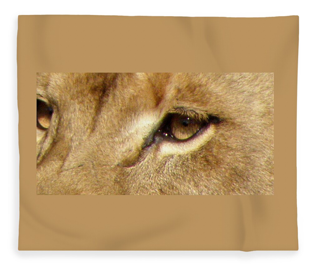 Lion Fleece Blanket featuring the photograph Lioness Eyes by Kim Galluzzo Wozniak