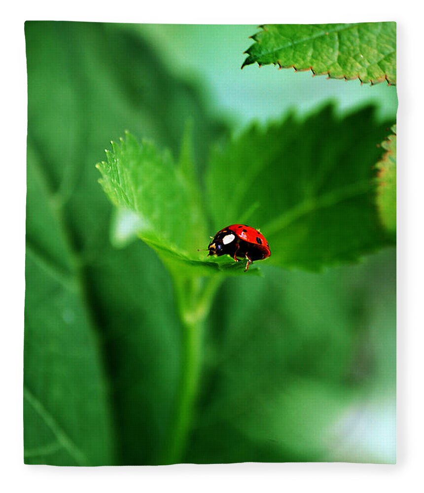 Ladybug Fleece Blanket featuring the photograph Little Red Lady by Lori Tambakis