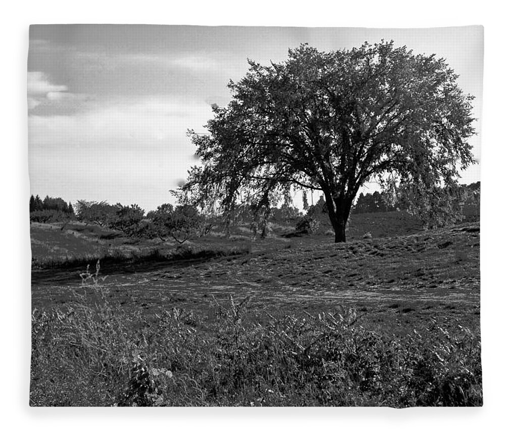 Usa Fleece Blanket featuring the photograph Lone Tree by LeeAnn McLaneGoetz McLaneGoetzStudioLLCcom