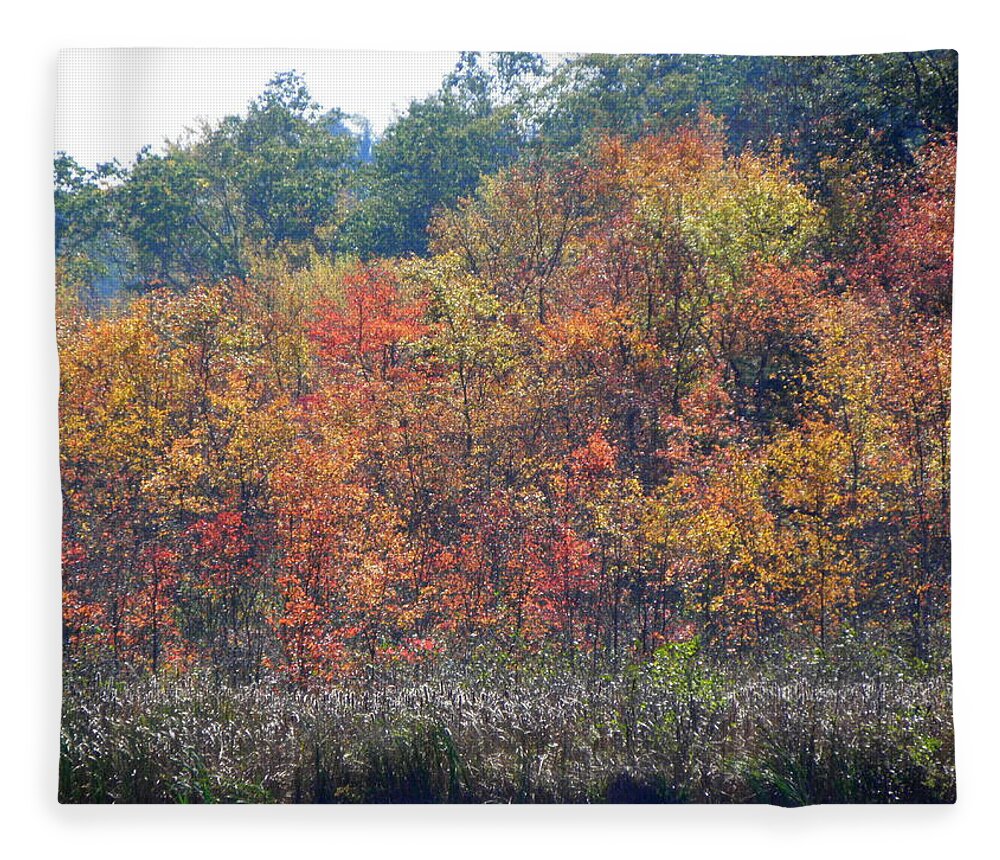 Autumn Fleece Blanket featuring the photograph Looks Like A Painting by Kim Galluzzo Wozniak