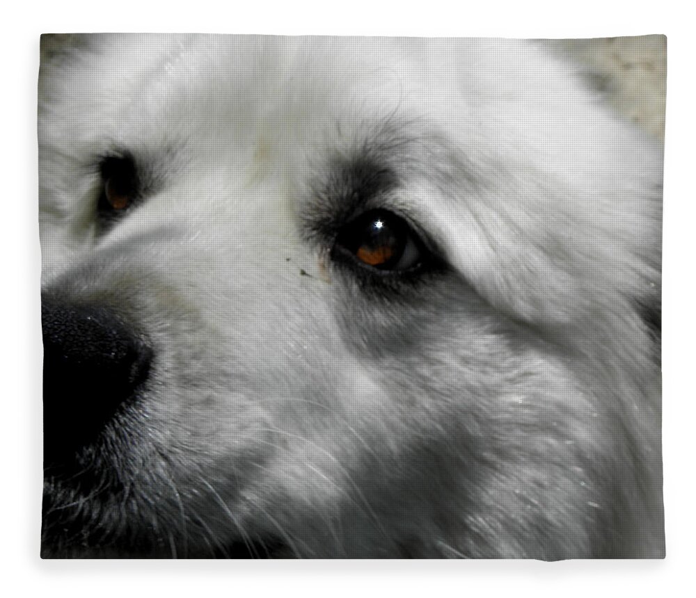 Great Pyrenees Fleece Blanket featuring the photograph Loving eyes and Face by Kim Galluzzo Wozniak
