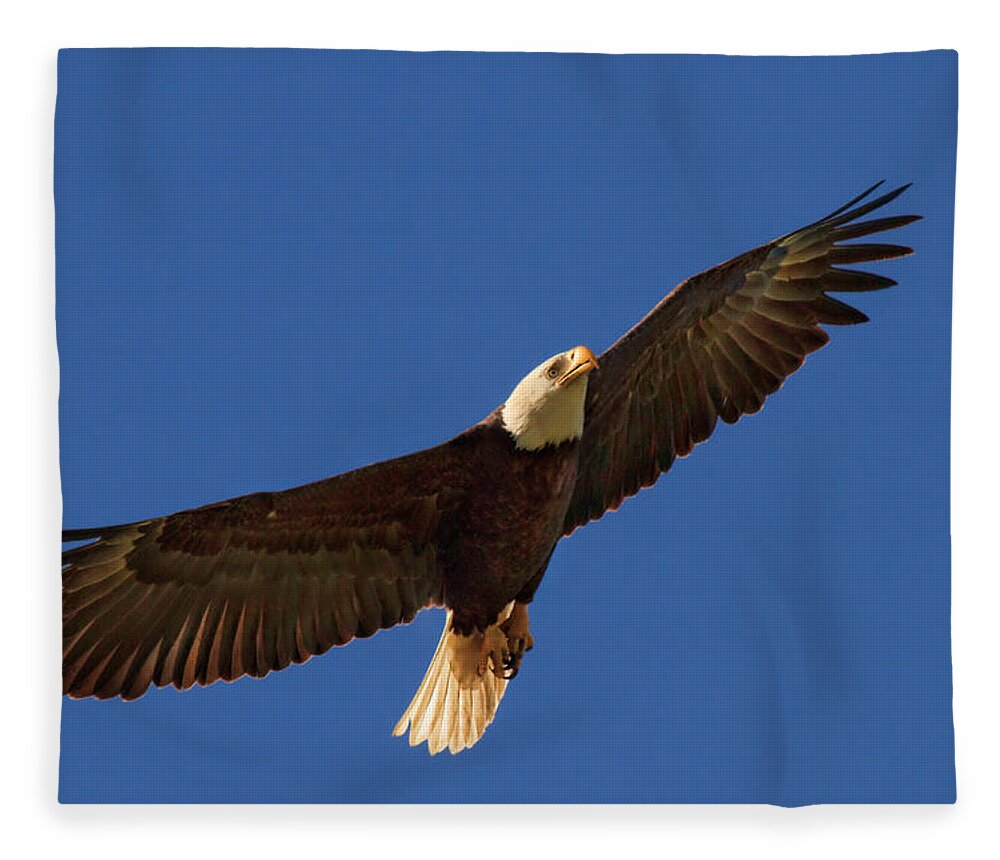 Bald Eagle Fleece Blanket featuring the photograph Majestic Bald Eagle by Beth Sargent