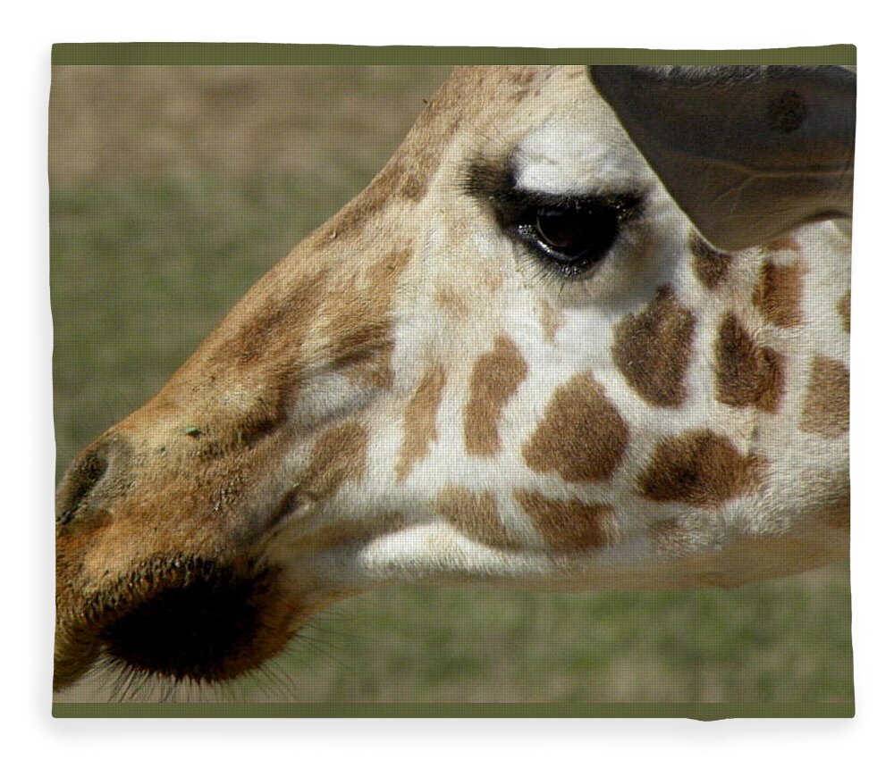 Giraffe Fleece Blanket featuring the photograph Marks Of Beauty by Kim Galluzzo