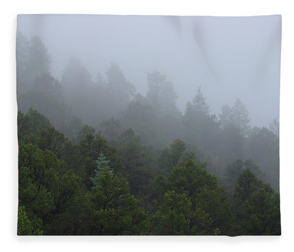 Mountain Fleece Blanket featuring the photograph Misty Mountain Morning by Charles and Melisa Morrison