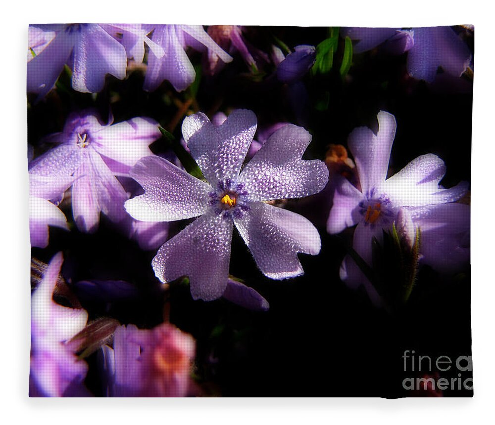 Flower Fleece Blanket featuring the photograph Morning Dew Creeping Phlox 2 by Ms Judi