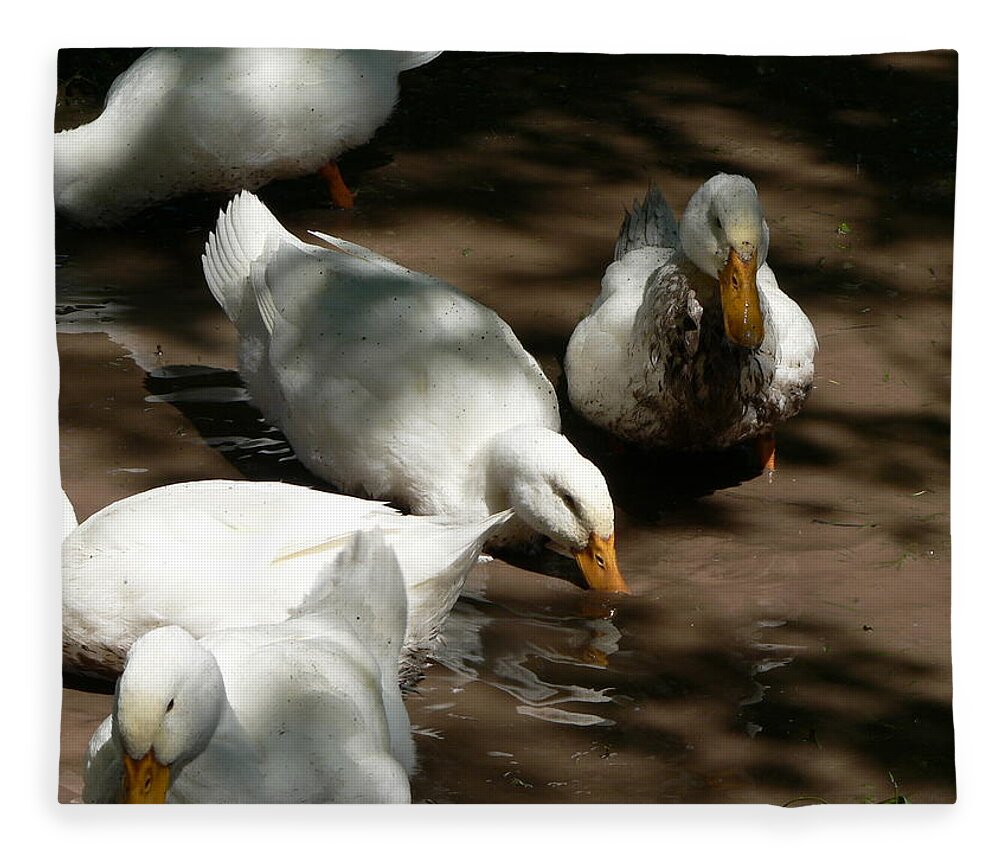 Duck Fleece Blanket featuring the photograph Muddy Ducks by Laurel Best