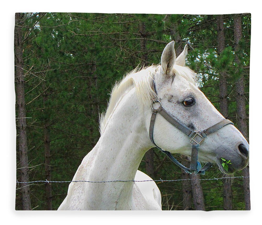 Horse Fleece Blanket featuring the photograph My Good Side by Ms Judi