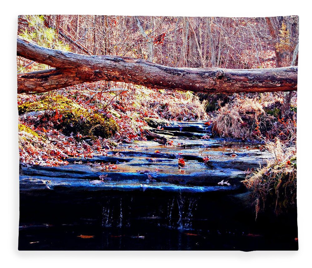 Landscape Fleece Blanket featuring the photograph Natural Spring Beauty by Peggy Franz