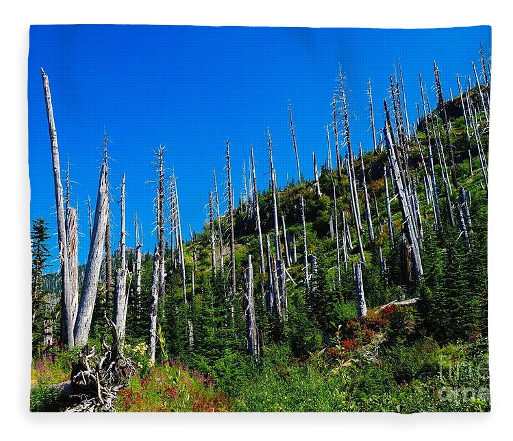 Trees Fleece Blanket featuring the photograph Near The End Of The Blow Out by Jeff Swan