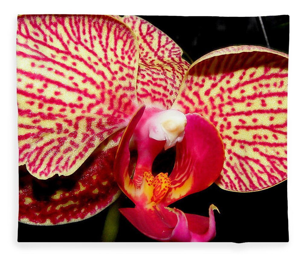 Orchid Fleece Blanket featuring the photograph No Two Are The Same by Kim Galluzzo