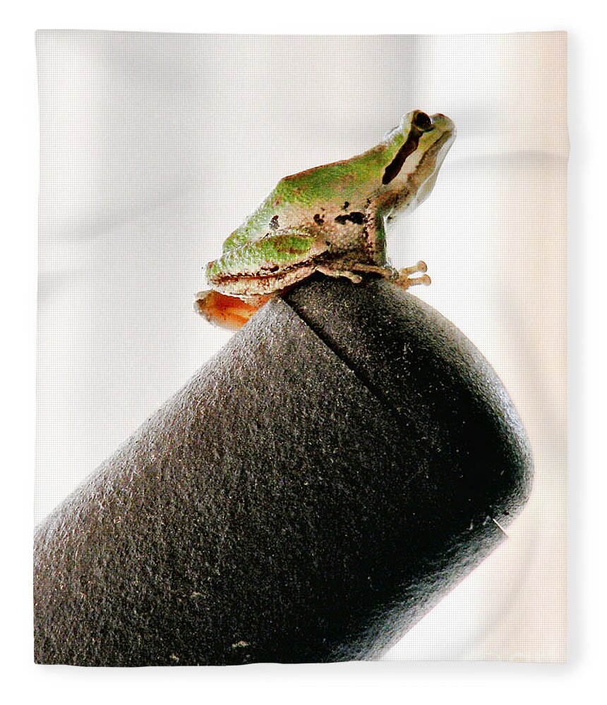 Frog Fleece Blanket featuring the photograph Now What? by Rory Siegel