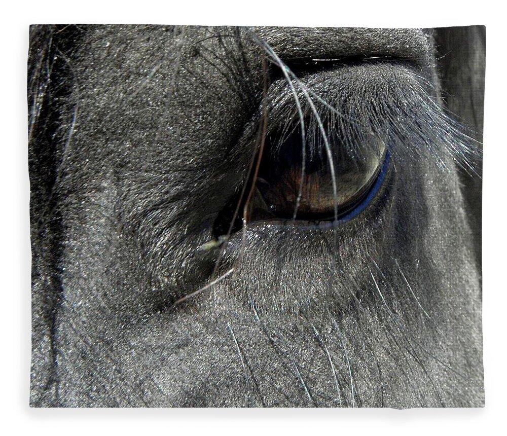 Eye Fleece Blanket featuring the photograph Oh The Lashes by Kim Galluzzo Wozniak