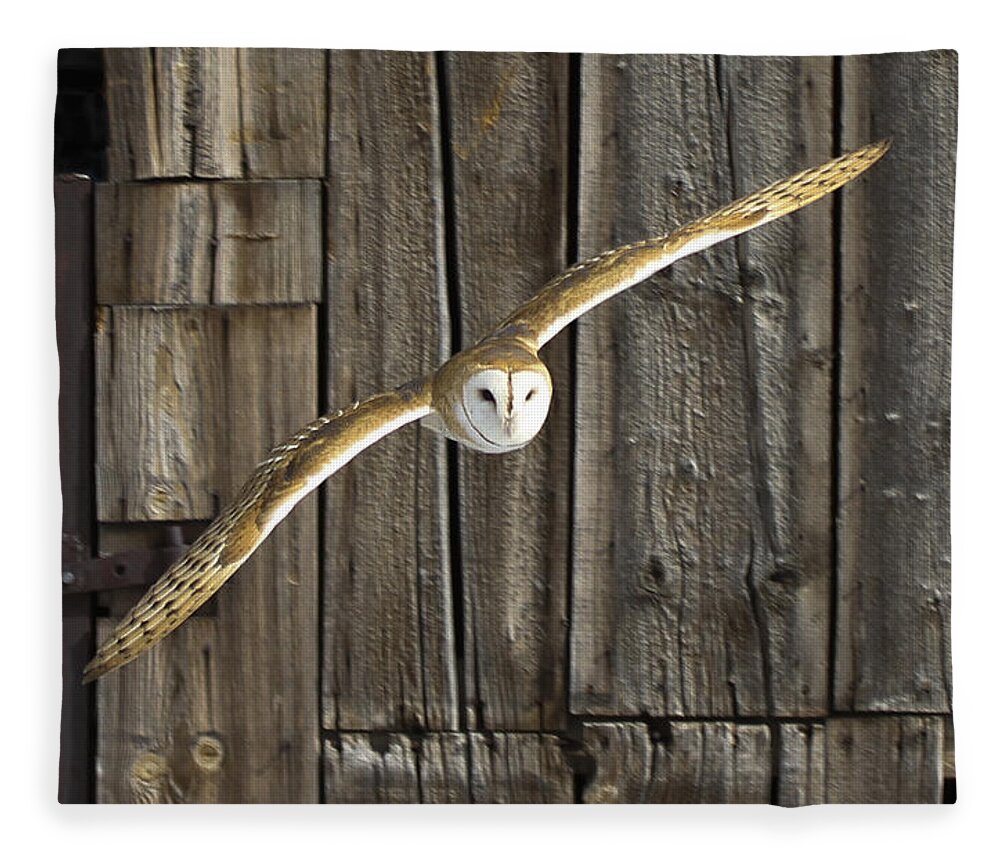 Landscape Fleece Blanket featuring the photograph Old barn owl by John T Humphrey