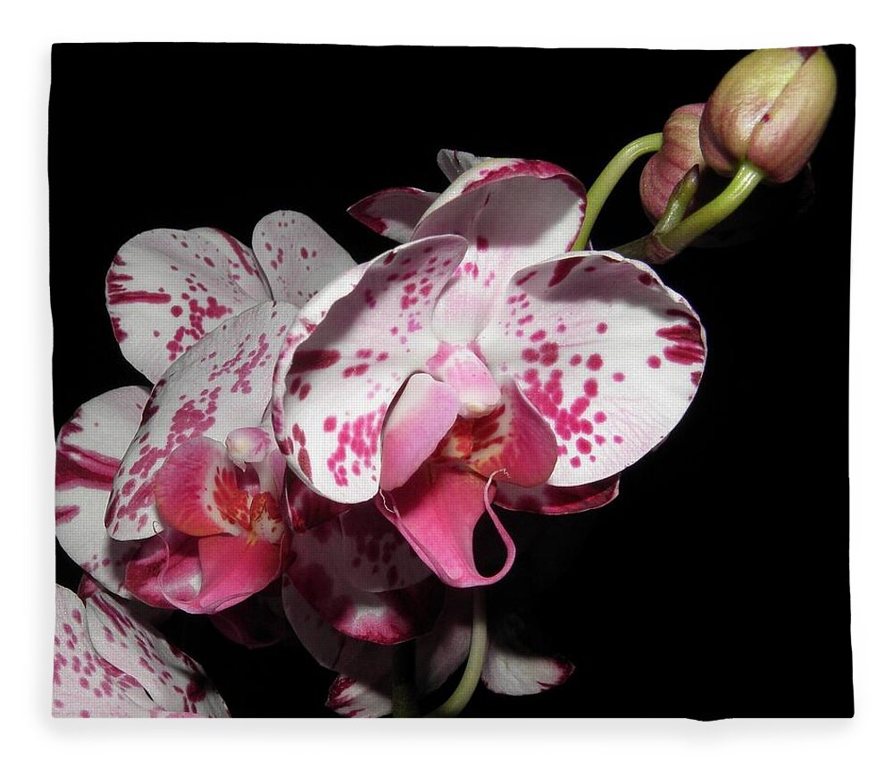 Orchid Fleece Blanket featuring the photograph Orchid beauties by Kim Galluzzo