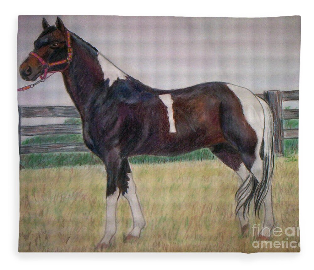 Paint Pony Fleece Blanket featuring the drawing Paint by Julie Brugh Riffey