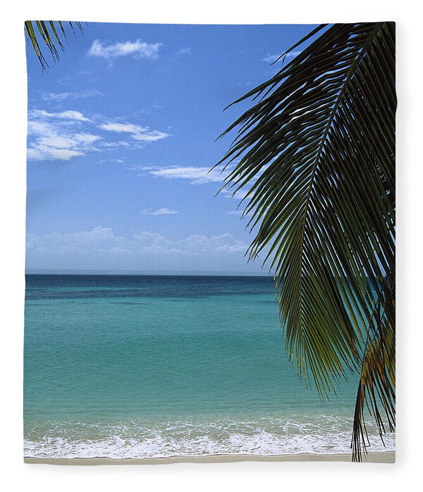 Mp Fleece Blanket featuring the photograph Palm Fronds Frame Bacardi Beach by Konrad Wothe