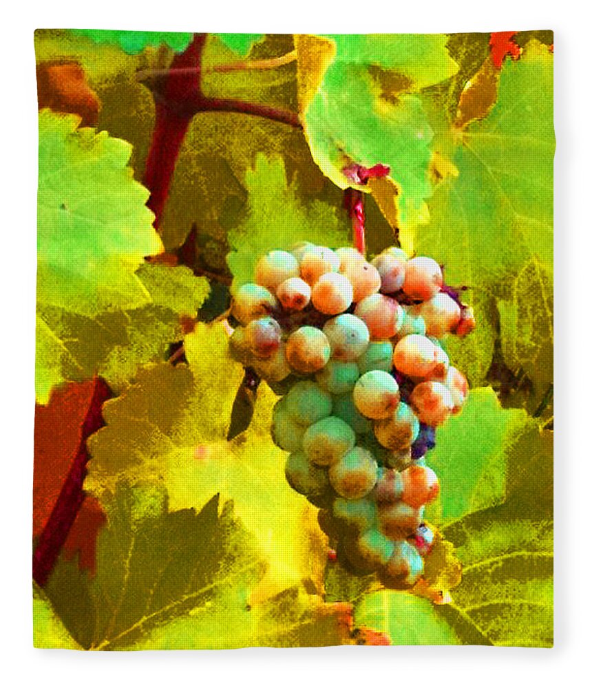 Ed Paschke Fleece Blanket featuring the photograph Paschke Grapes by Kathy Corday