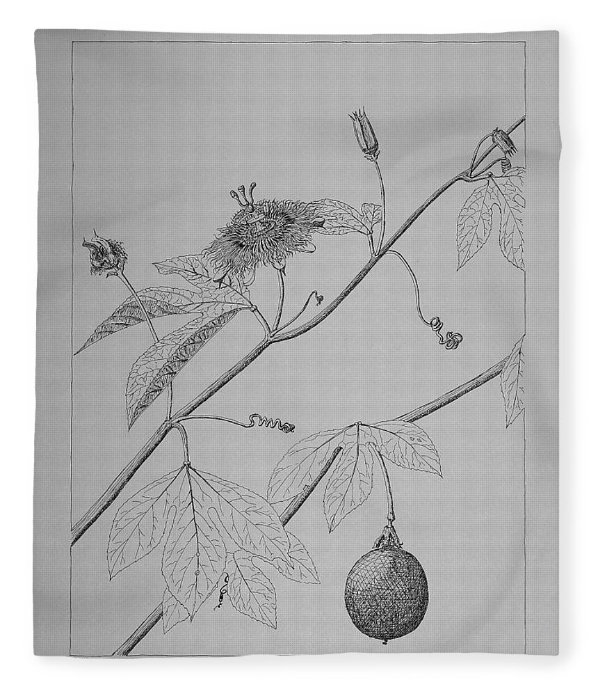 Passionflower Fleece Blanket featuring the drawing Passionflower Vine by Daniel Reed