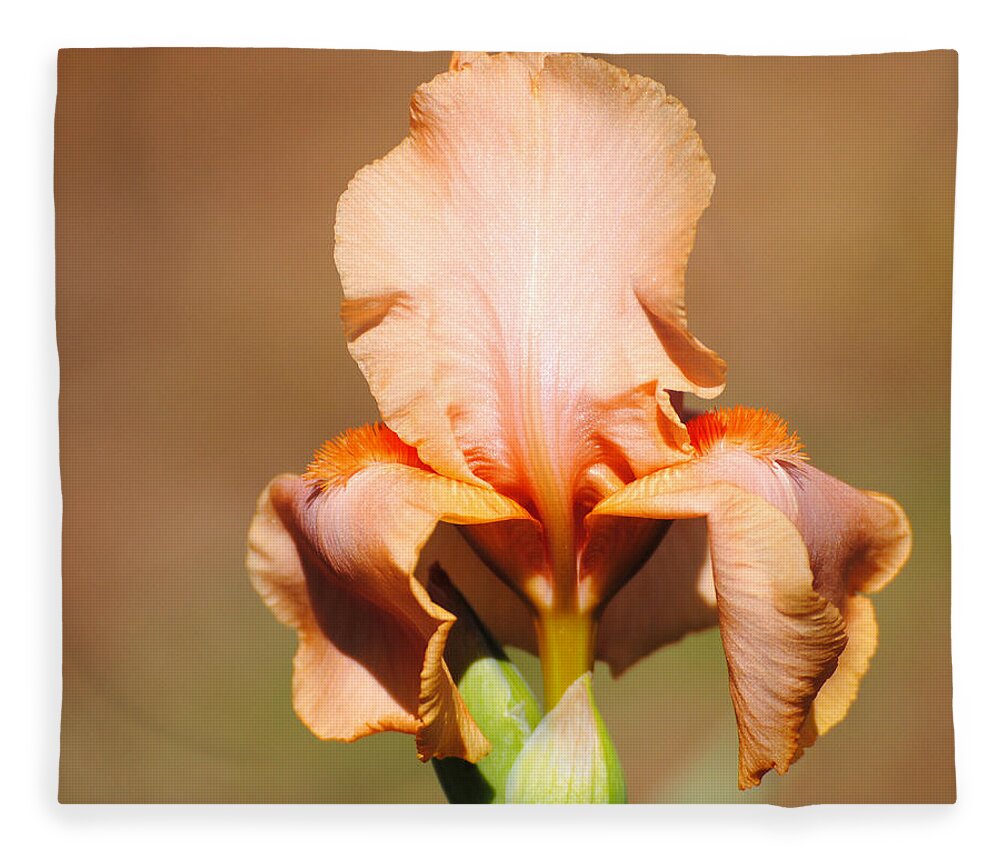 Beautiful Iris Fleece Blanket featuring the photograph Peach Iris Flower by Jai Johnson