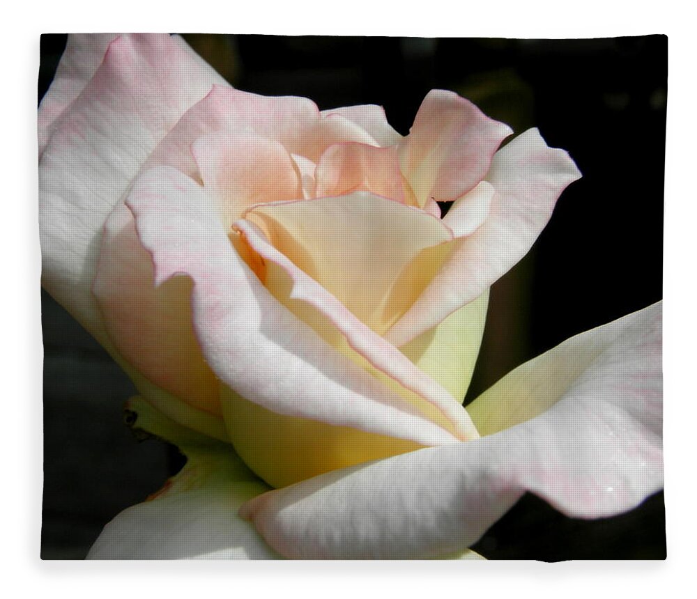 Rose Fleece Blanket featuring the photograph Pedals Of Beauty by Kim Galluzzo