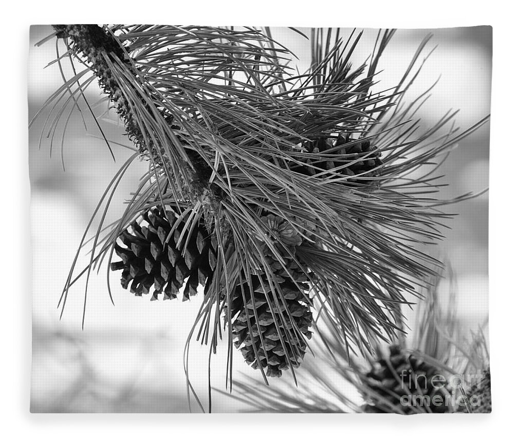 Pine Cones Fleece Blanket featuring the photograph Pine Cones by Dorrene BrownButterfield