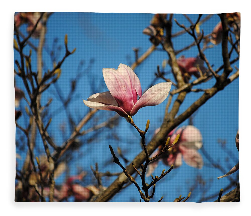 Flower Fleece Blanket featuring the photograph Pink Magnolia Flower by Jai Johnson
