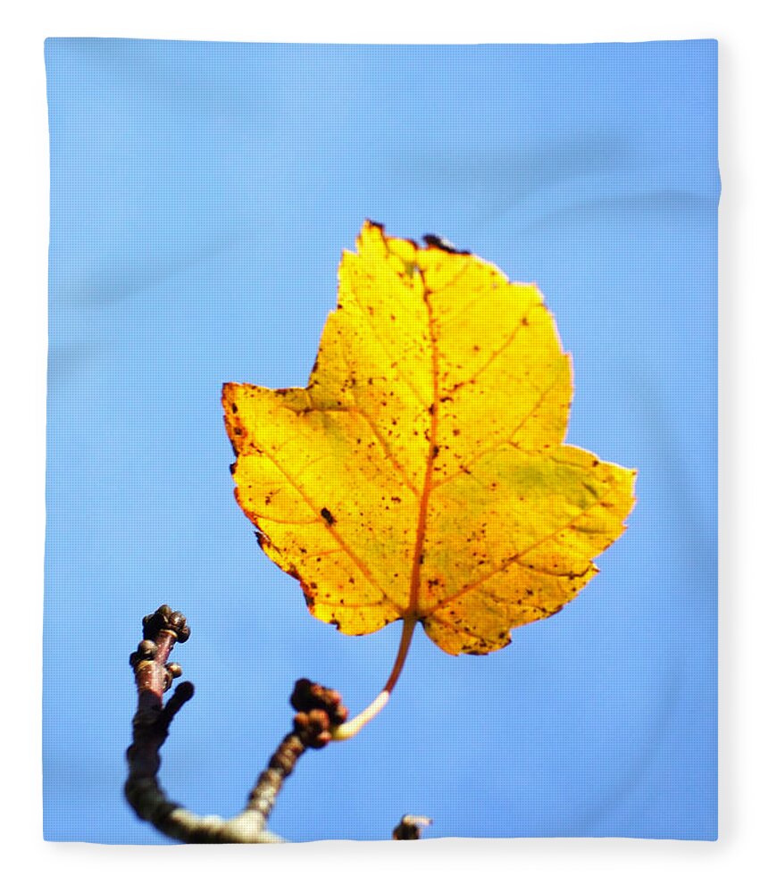 Leaf Fleece Blanket featuring the photograph Playing Solitaire by Shana Rowe Jackson