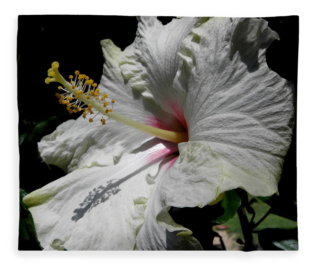 Hibiscus Fleece Blanket featuring the photograph Pointing Towards The Sun by Kim Galluzzo