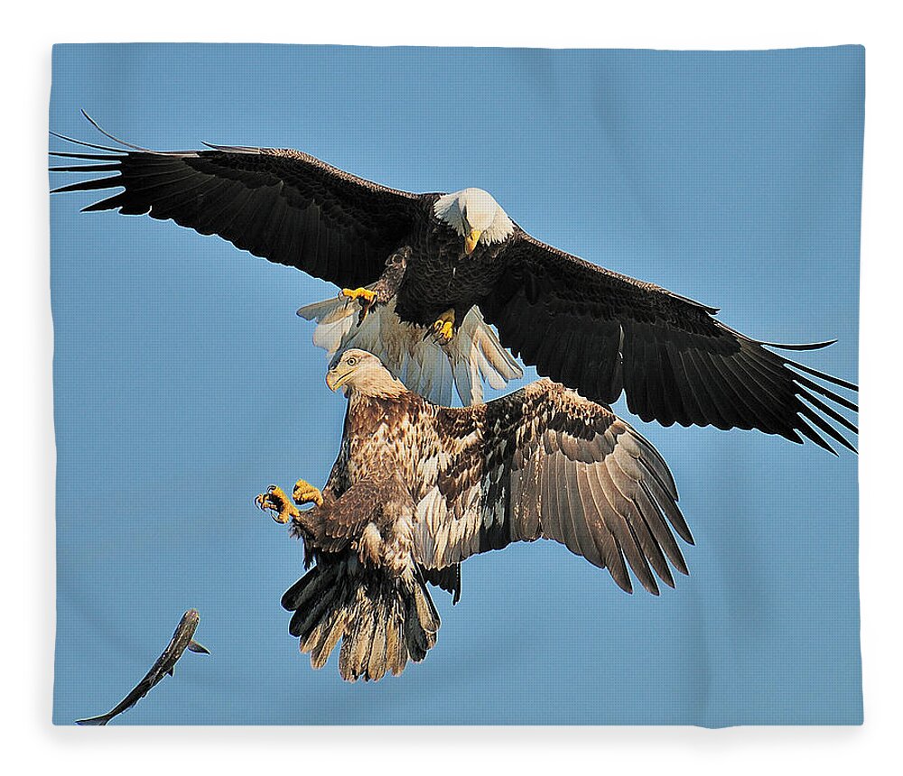 Bald Eagle Fleece Blanket featuring the photograph Pop The Fish by Craig Leaper
