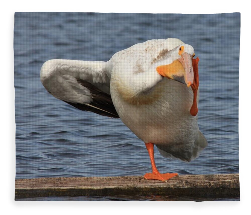 White Pelican Fleece Blanket featuring the photograph Poser by Shane Bechler