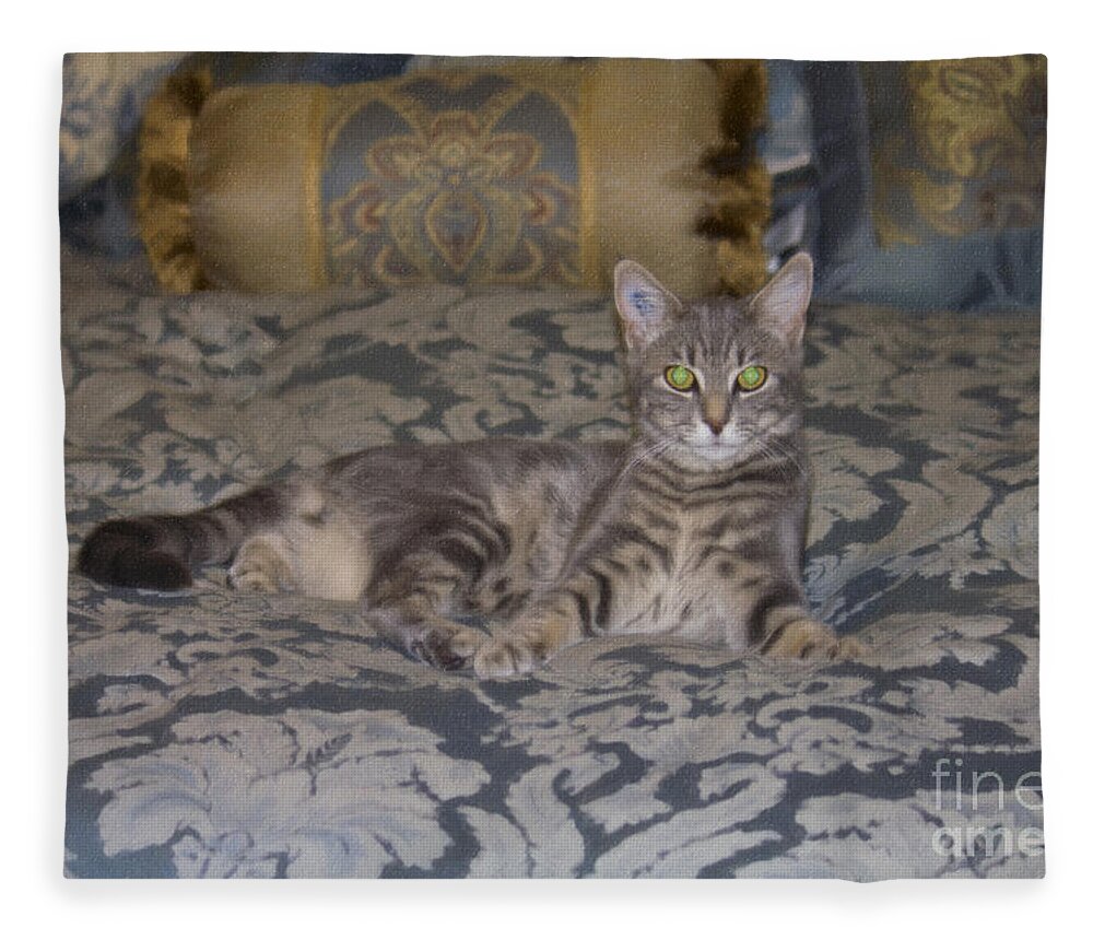 Landscape Fleece Blanket featuring the photograph Prince Lucius by Donna L Munro