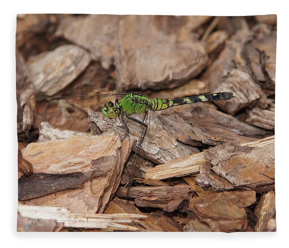 Dragonfly Fleece Blanket featuring the photograph Profile of Green Dragonfly by Megan Cohen