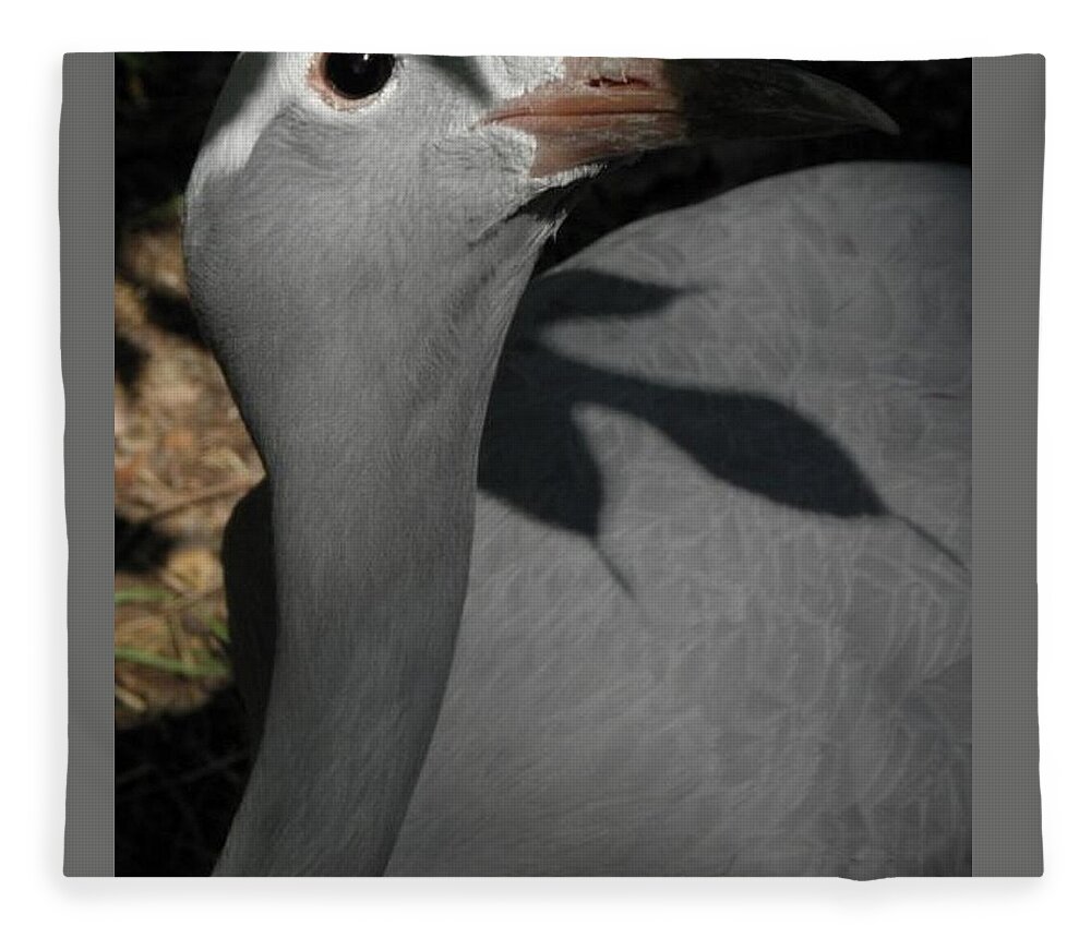 Bird Fleece Blanket featuring the photograph psst I see you by Kim Galluzzo Wozniak