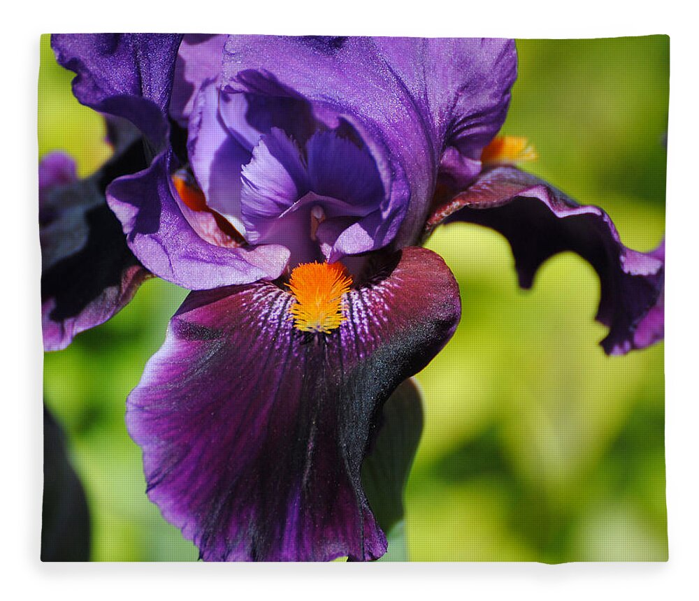 Beautiful Iris Fleece Blanket featuring the photograph Purple and Orange Iris II by Jai Johnson