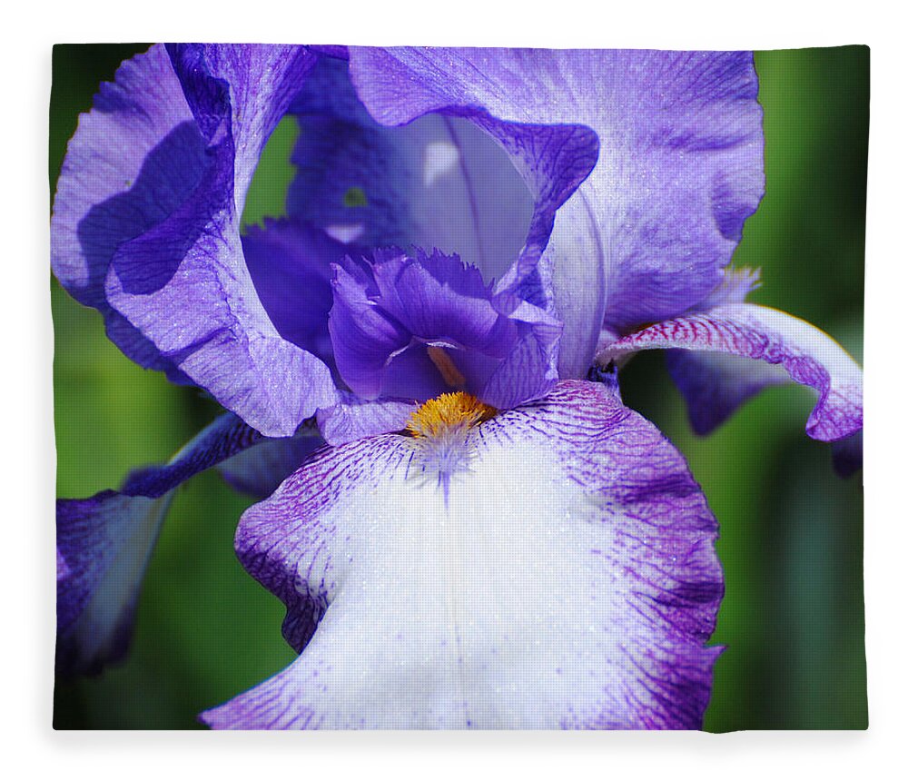 Beautiful Iris Fleece Blanket featuring the photograph Purple and White Iris Flower by Jai Johnson