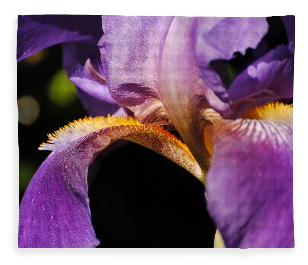 Beautiful Iris Fleece Blanket featuring the photograph Purple and Yellow Iris Close Up by Jai Johnson