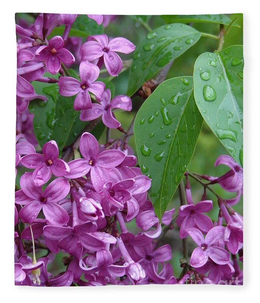 Purple Lilac Fleece Blanket featuring the photograph Purple Lilac by Laurel Best