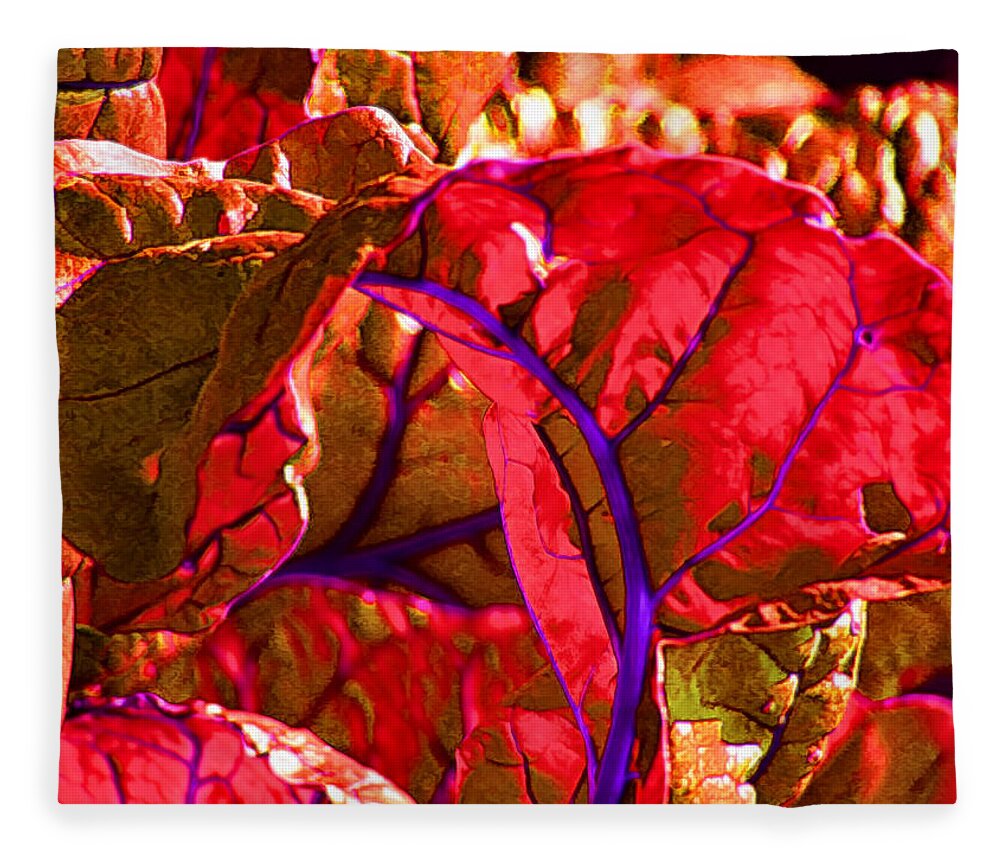 Chard Fleece Blanket featuring the photograph Red Chard by Rory Siegel