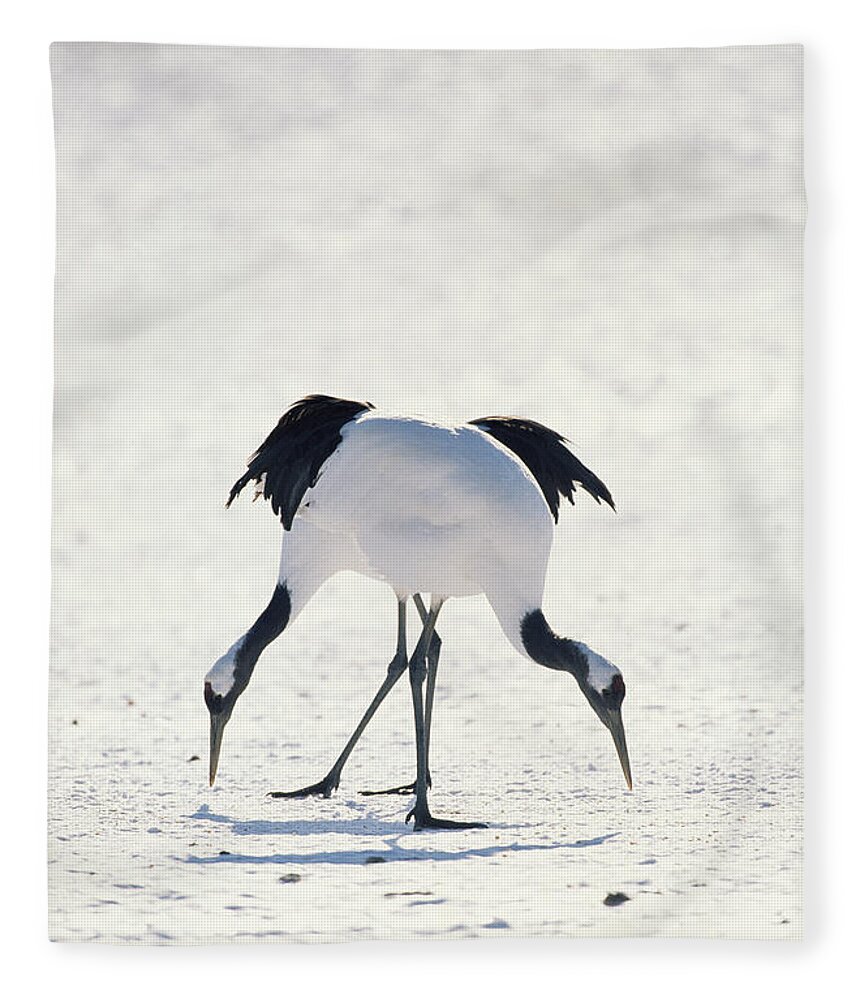 00190793 Fleece Blanket featuring the photograph Red-crowned Crane Pair by Konrad Wothe