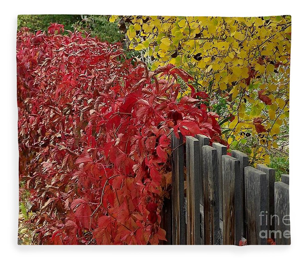 Fall Colors Fleece Blanket featuring the photograph Red Fence by Dorrene BrownButterfield