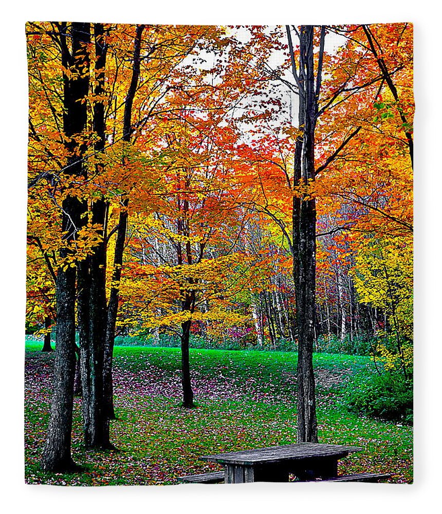 Fall.fall Foliage Fleece Blanket featuring the photograph Rest Stop by Burney Lieberman