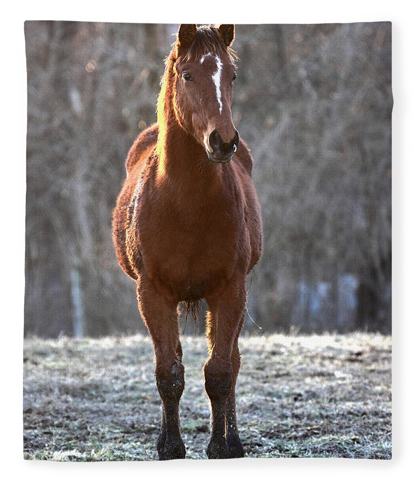  Fleece Blanket featuring the photograph 'Riddle Me This' by PJQandFriends Photography
