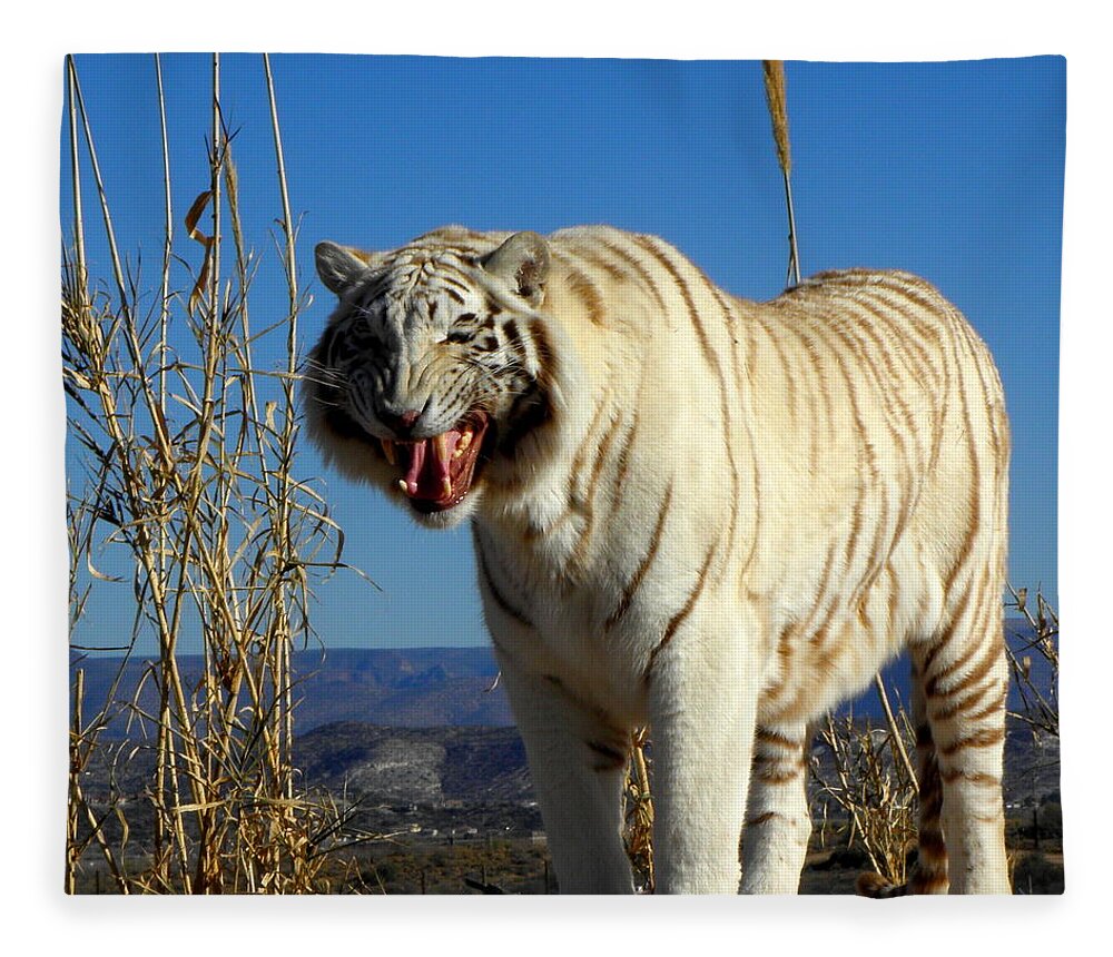 Tiger Fleece Blanket featuring the photograph Roar by Kim Galluzzo Wozniak