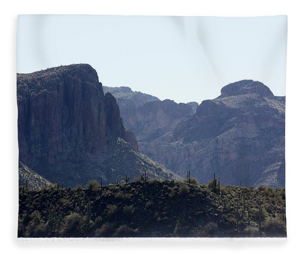 Sagouro Fleece Blanket featuring the photograph Sagouro Lake Arizona by Kim Galluzzo