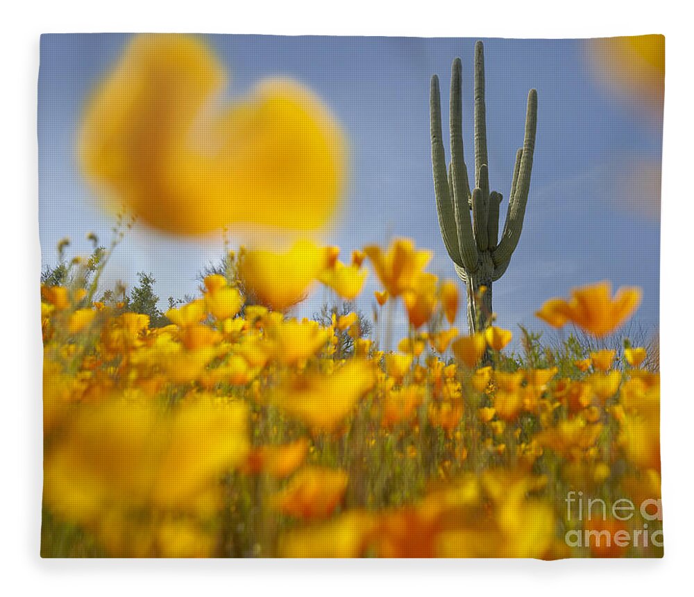 00443062 Fleece Blanket featuring the photograph Saguaro Cactus And California Poppies by Tim Fitzharris