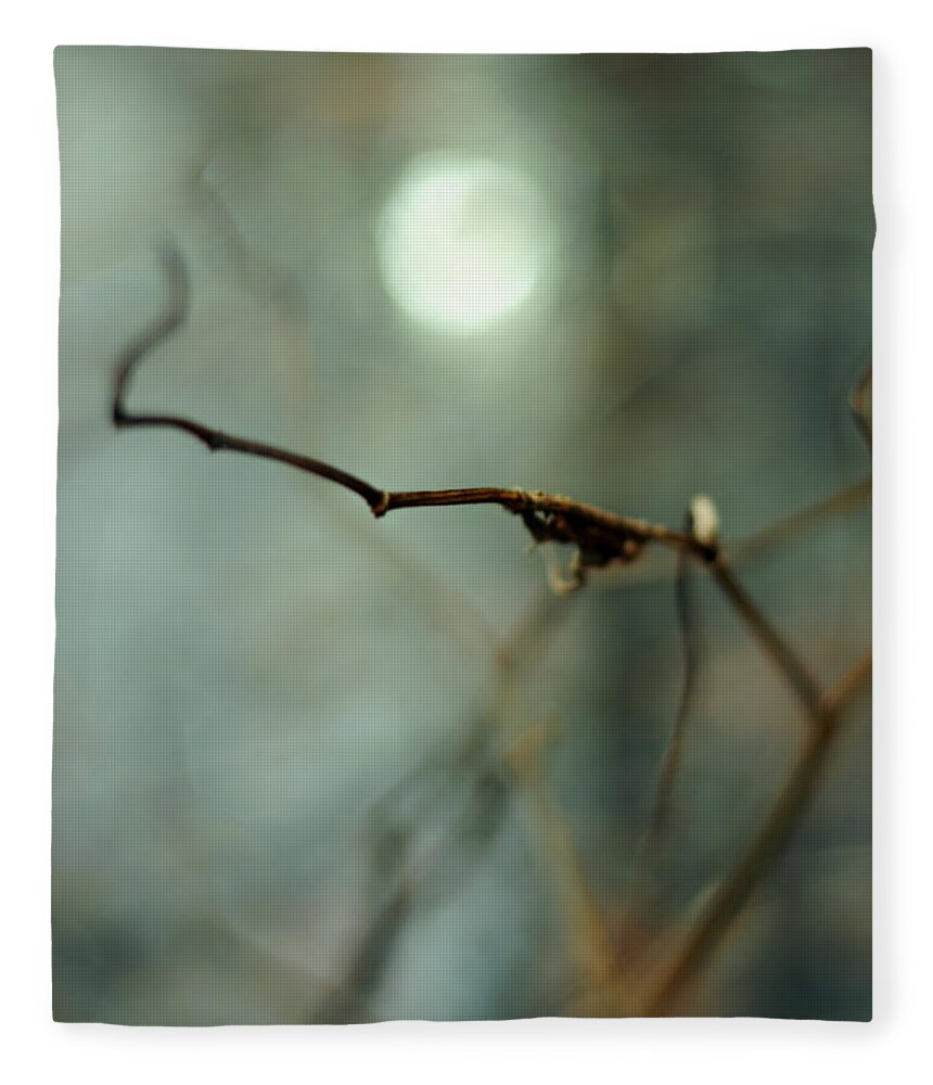Conceptual Fleece Blanket featuring the photograph Sail to the Moon by Rebecca Sherman