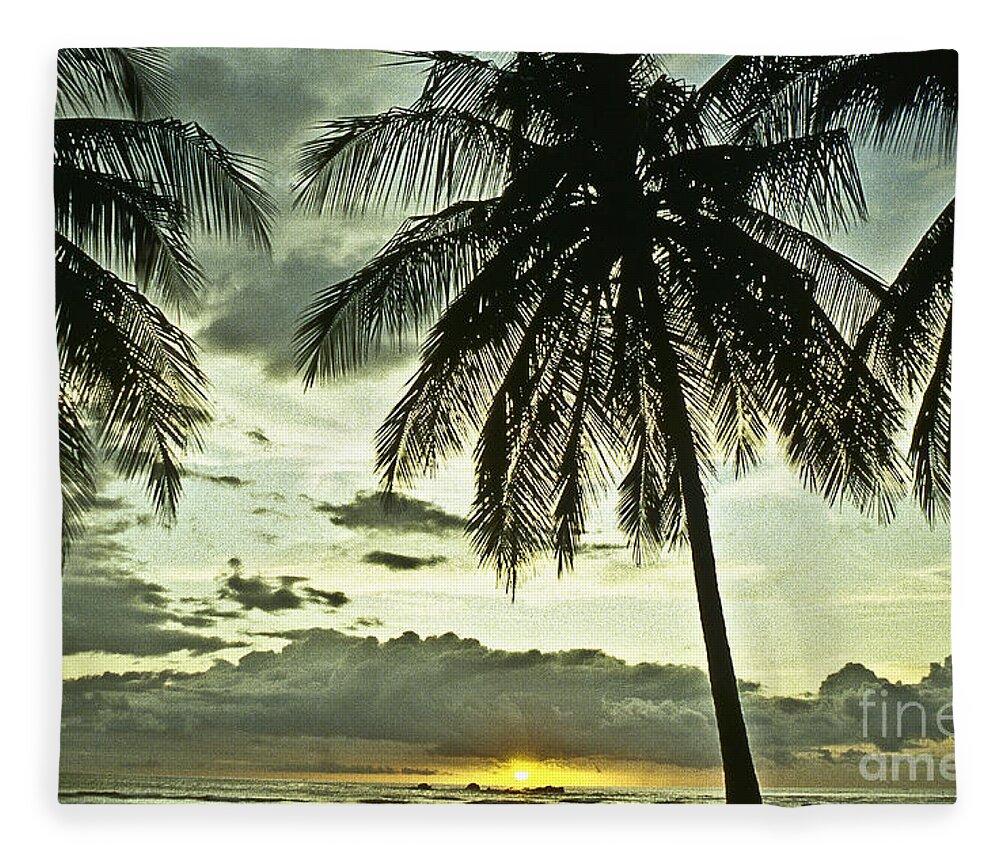 Landscape Fleece Blanket featuring the photograph Scenic evening by Heiko Koehrer-Wagner