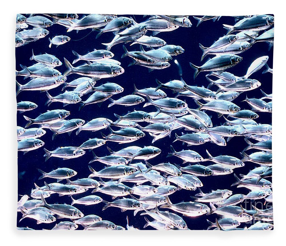 Horizontal Fleece Blanket featuring the photograph School of Threadfin Shad by Tom McHugh and Photo Researchers